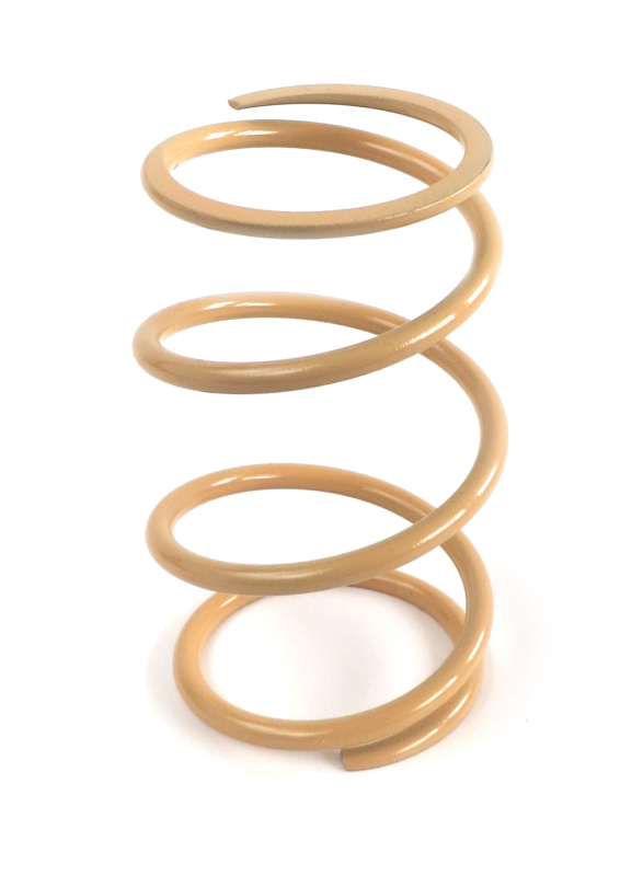 EPI Clutch Springs