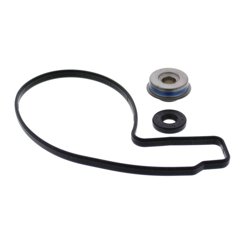 VEP Water Pump Rebuild Kit