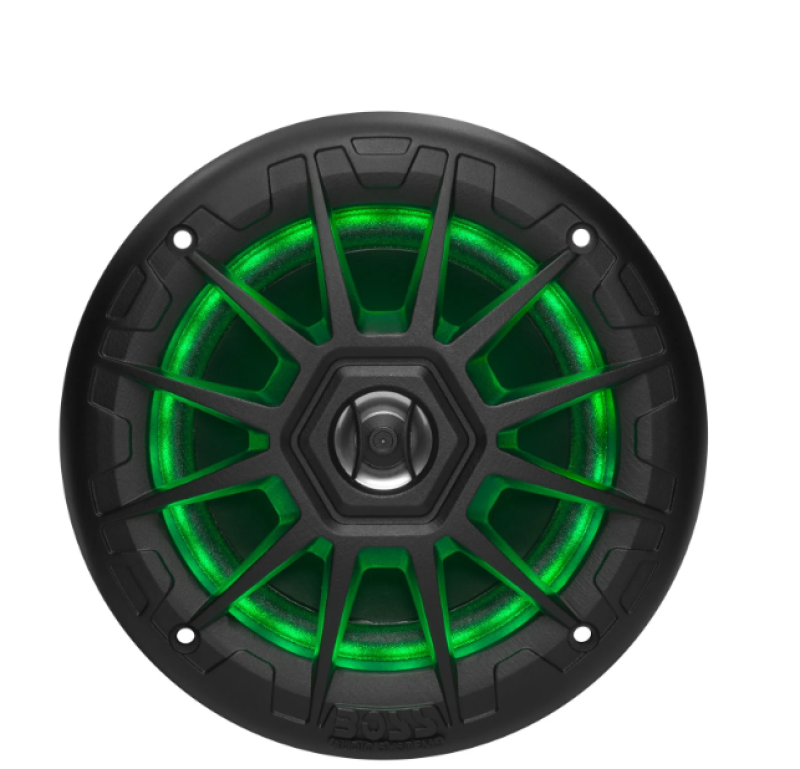 BSA Marine Speakers