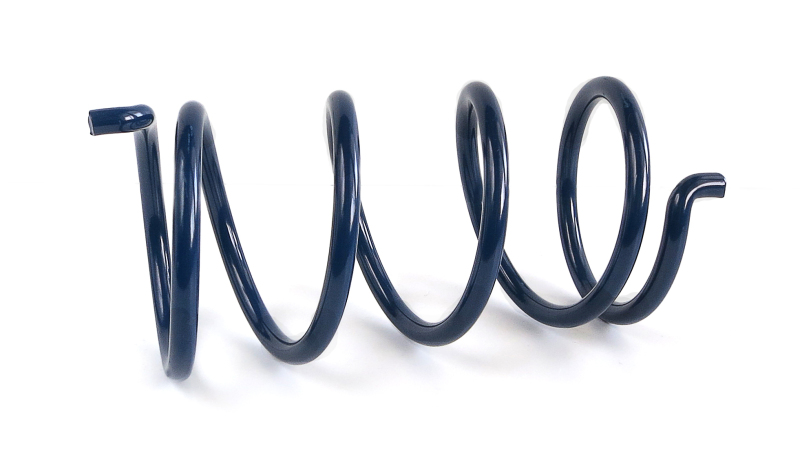 EPI Clutch Springs