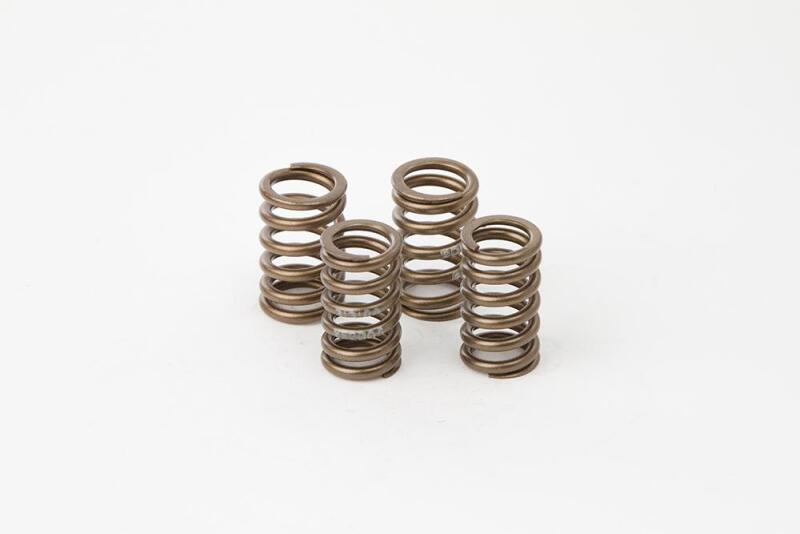 HOC Valve Spring Kits