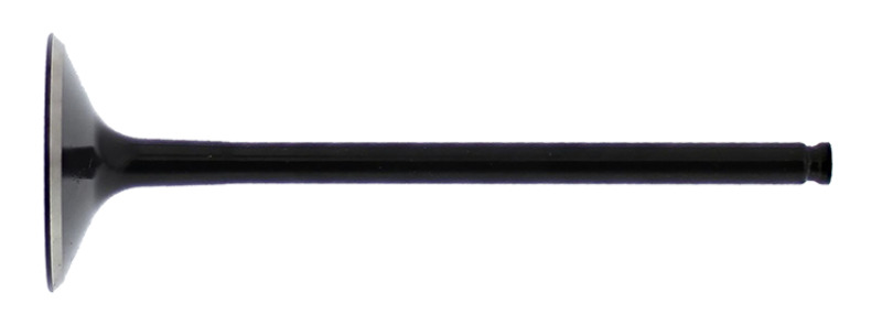 HOC Exhaust Valve