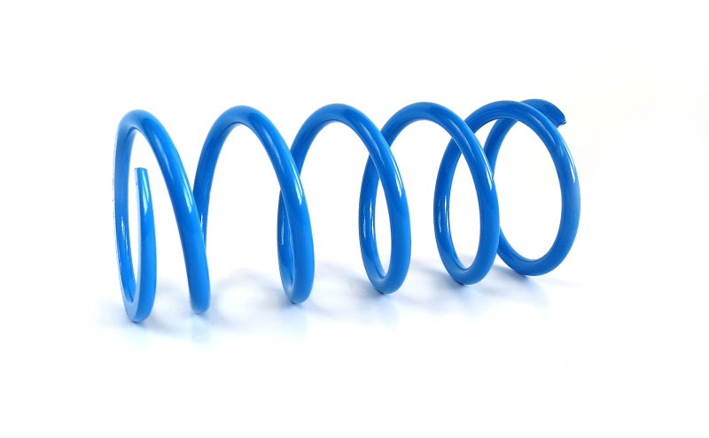 EPI Clutch Springs