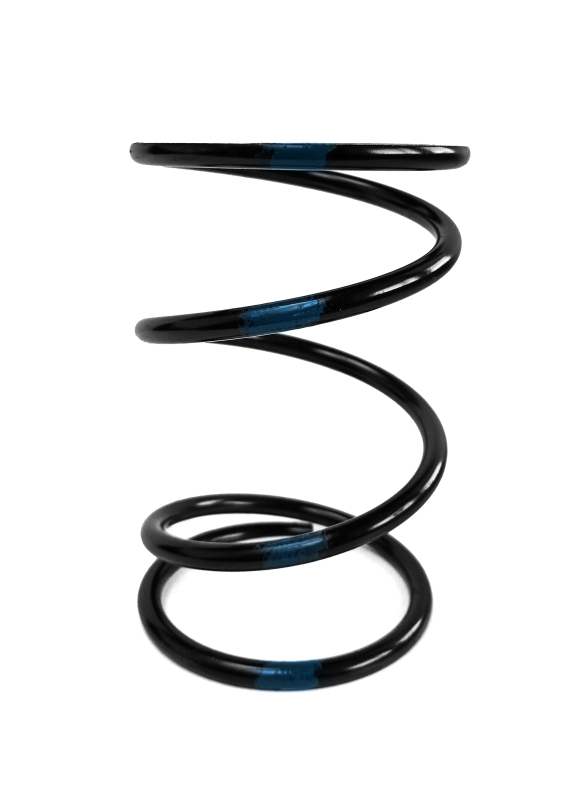 EPI Clutch Springs