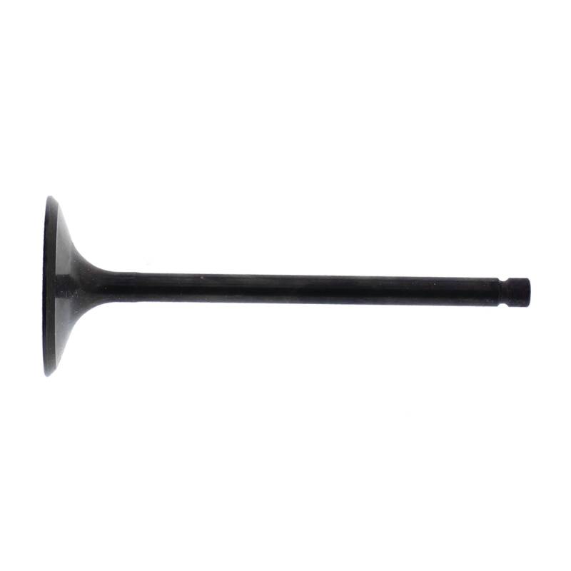 HOC Intake Valve