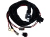 RIG Light Harnesses