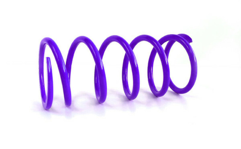 EPI Clutch Springs
